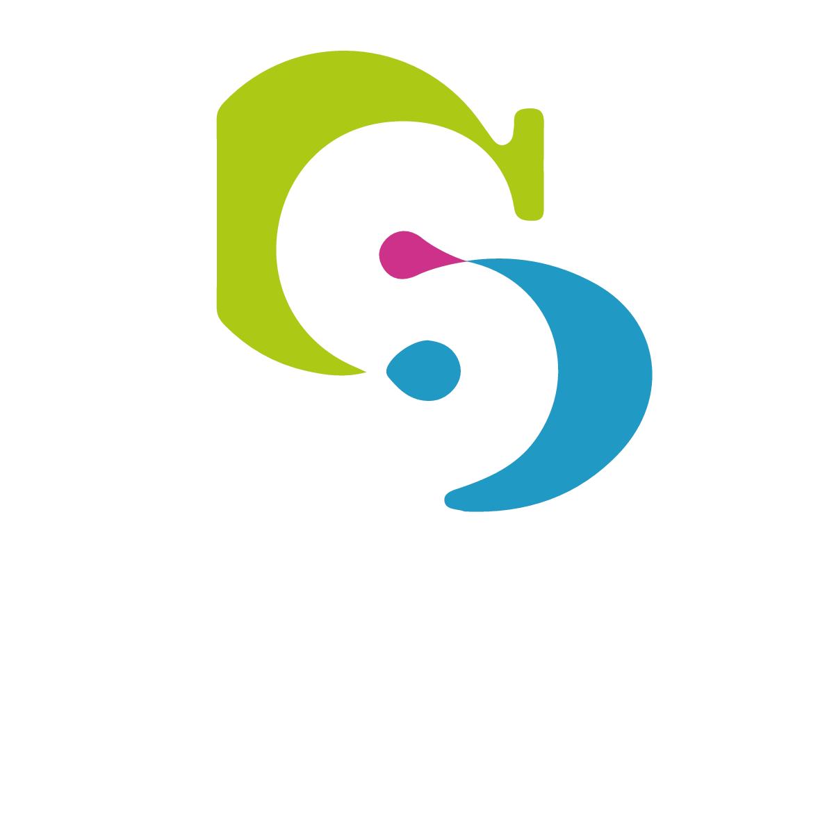 Ottica silingardi landing